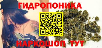 мдпв Кандалакша