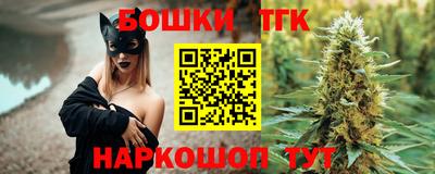 дживик Камышлов